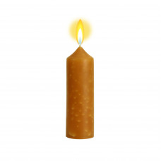 Дубовый мох - ароматическая свеча СВ
